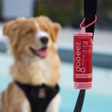 Goo Eez - ThrowAways - disposable waste bag dispenser