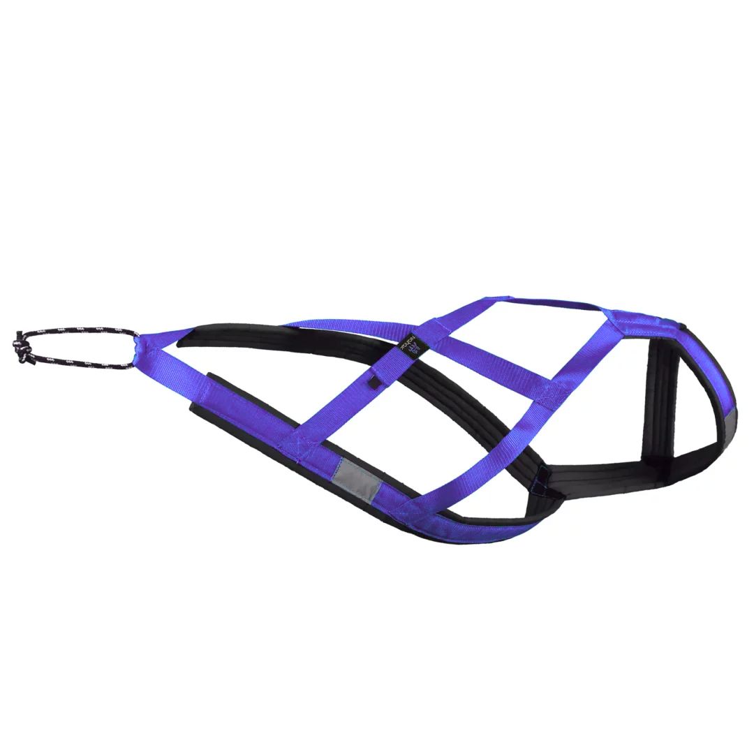 Nahak - Harnais de traction pour chien