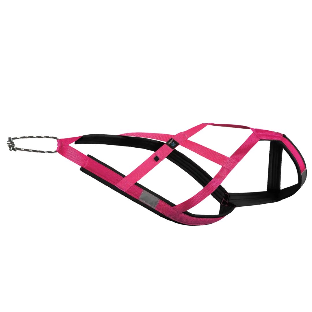 Nahak - Harnais de traction pour chien