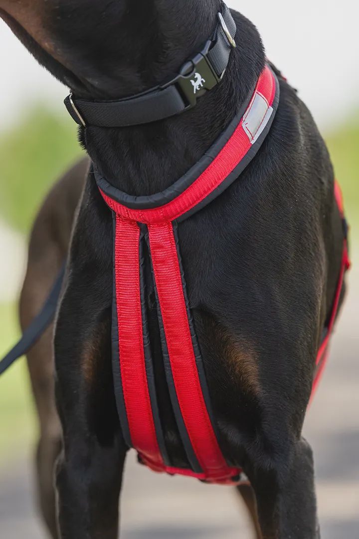 Nahak - Harnais Hybride pour chien