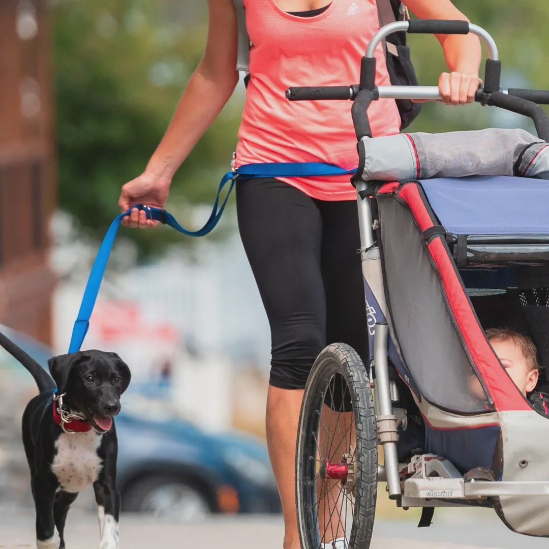 Nahak - Laisse multifonction, ajustable en nylon