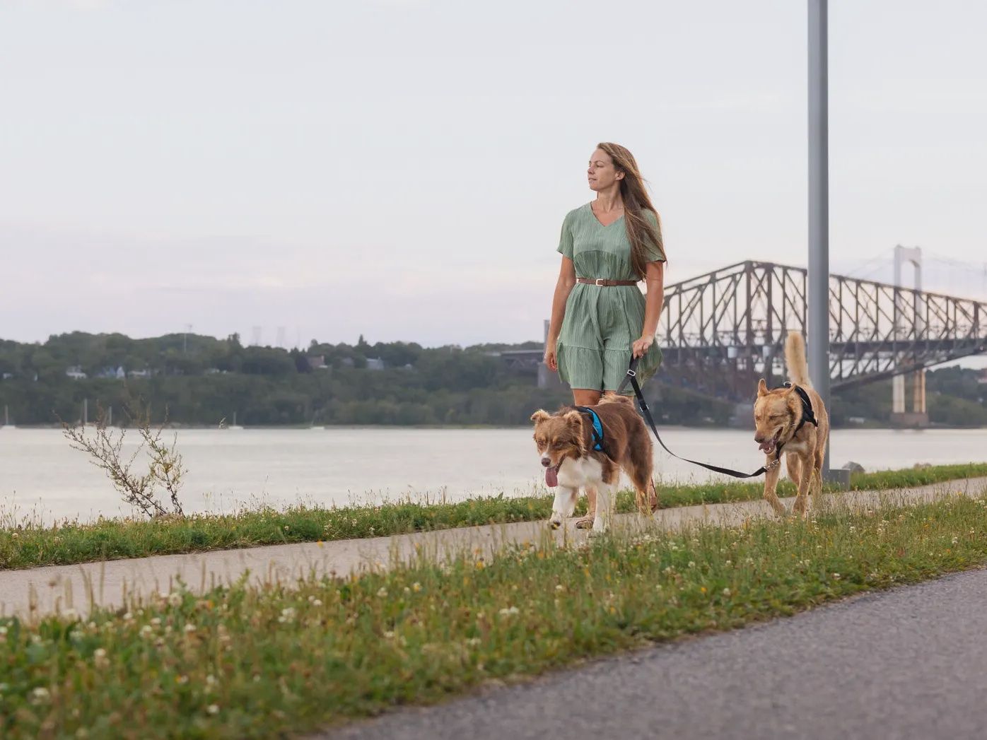 Nahak - Laisse multifonction, ajustable en nylon