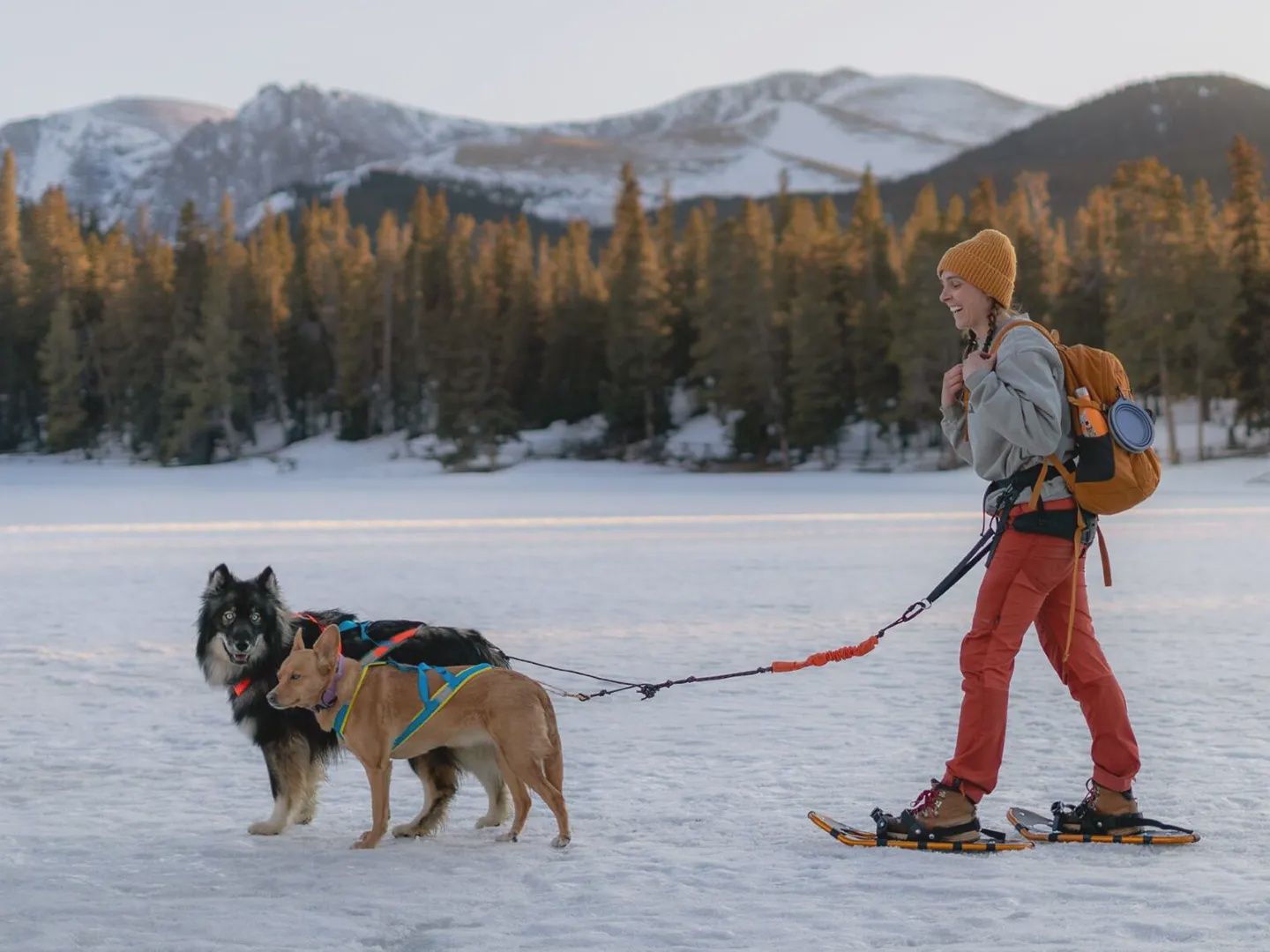 Nahak - Ligne bungee multisport