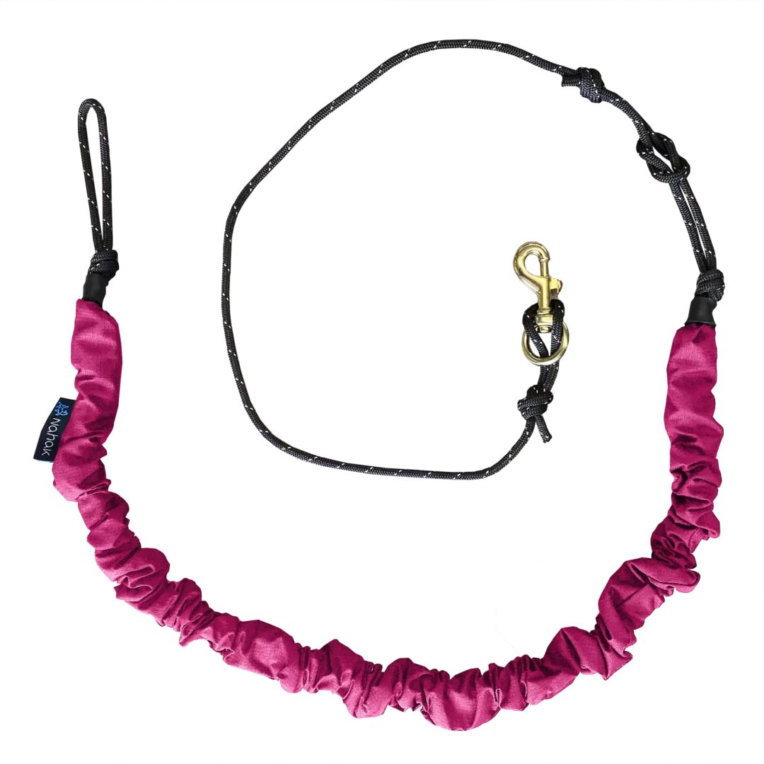 Nahak - Ligne bungee pour bikejoring