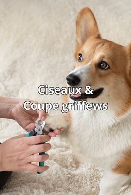 Scissors &amp; Nail Clippers