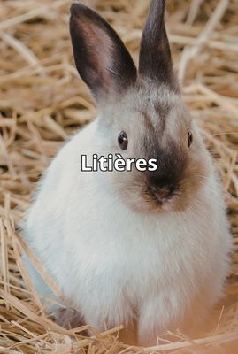 Litter