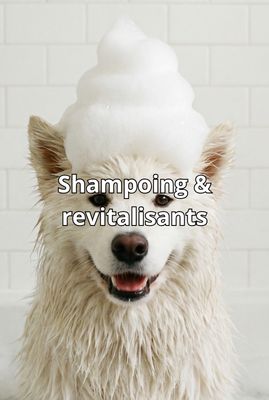 Shampoos &amp; Conditioners