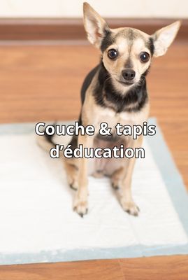 Diapers &amp; Training