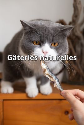 Natural Treats
