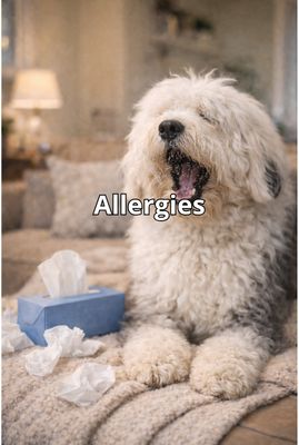 Allergies