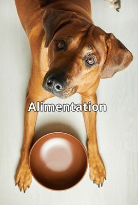 Bowls &amp; Fountains