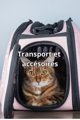 Transport &amp; Accessories
