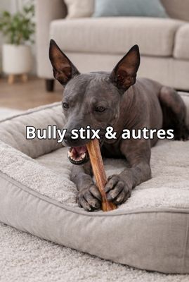 Bully stick &amp; others