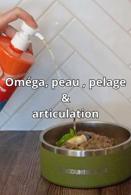 Coat, Omega, Skin &amp; Joint Health