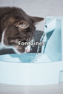 Fontaines