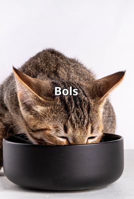 Bols