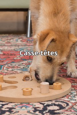 Casse-têtes