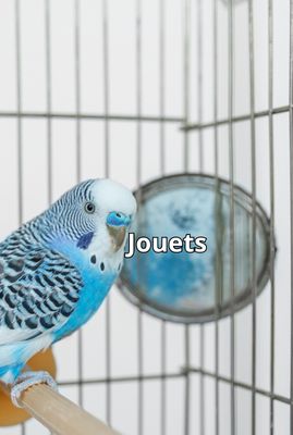 Jouets