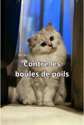 Contre les boules de poils