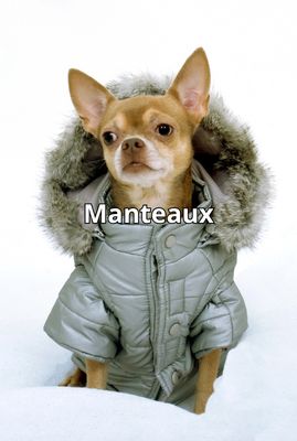 Manteaux