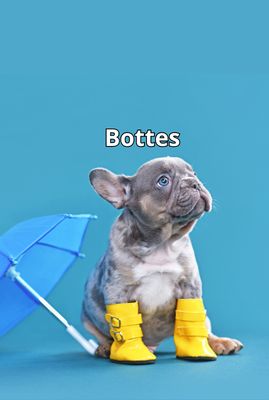 Bottes