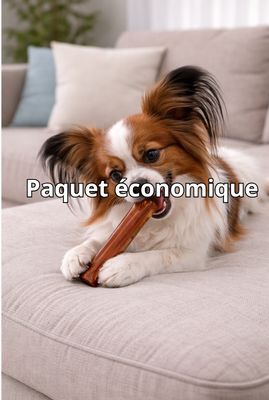 Paquet économique