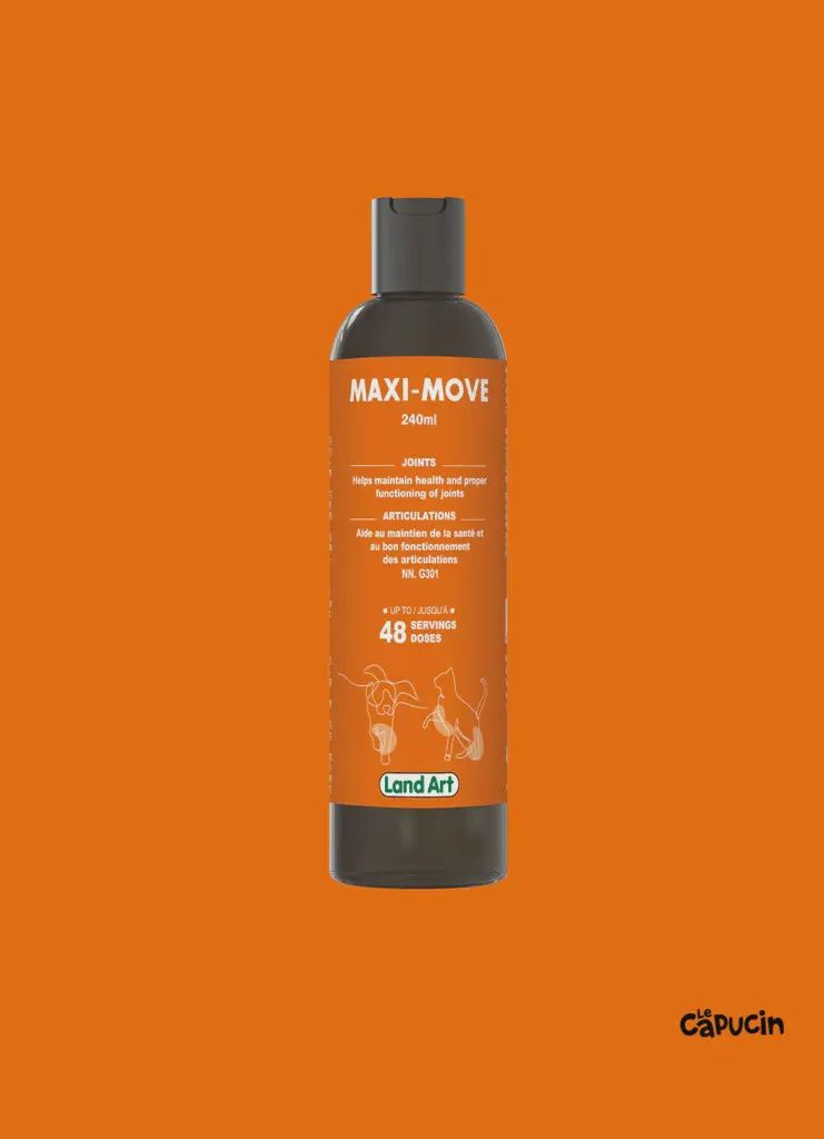 Land Art-Maxi-move 240 ml