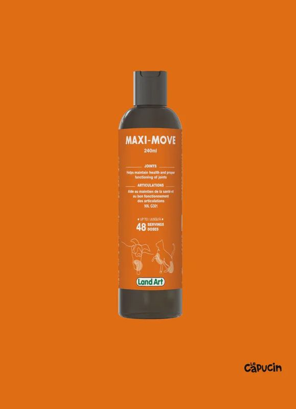 Land Art-Maxi-move 240 ml