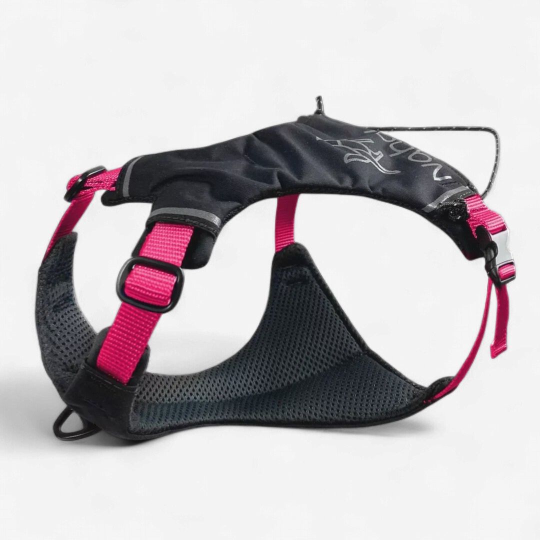 Nahak - Harnais pour petits chiens