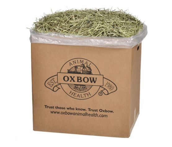 Oxbow- Foin Timothy Occidental