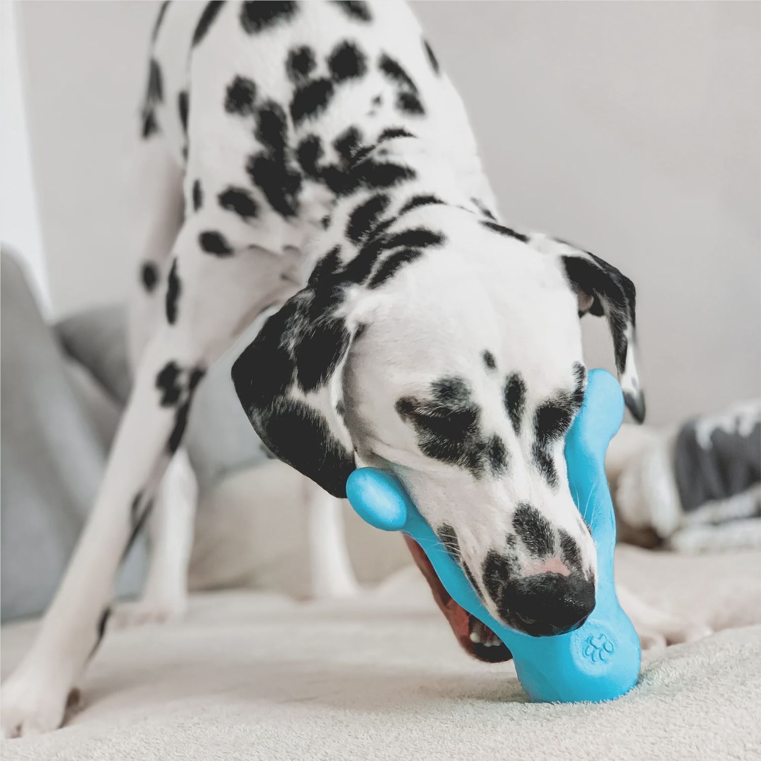 West Paw - Tizzi jouet a remplir