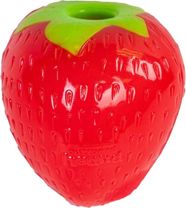 Outward Hound - Planet Dog - Foodies, jouets distrubuteur en forme de fruit ou légume, types: Fraise
