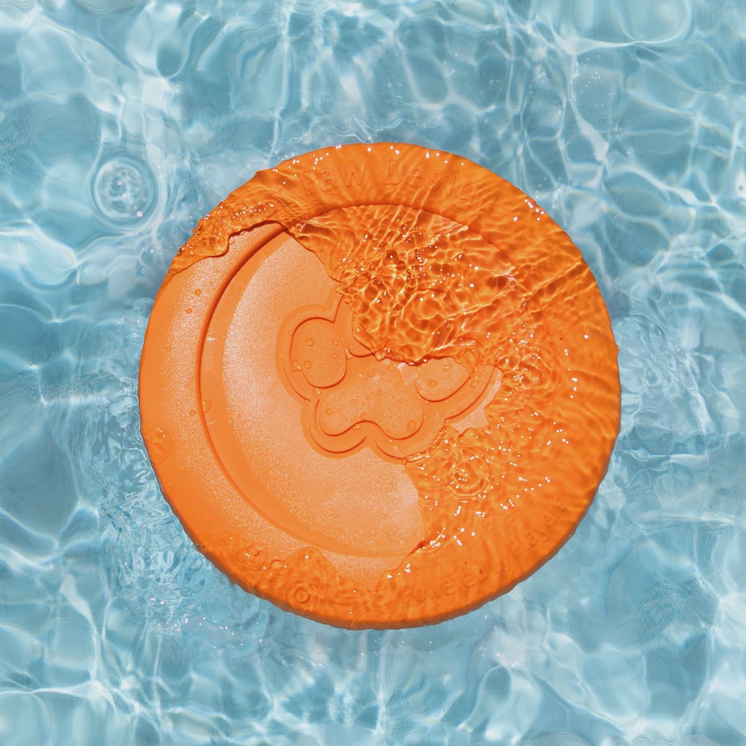 West Paw - Zisc  frisbee Large