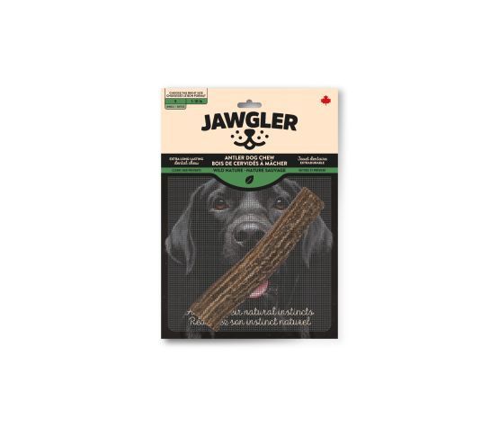 Jawgler-Deer Antler Chew, Whole - Wild Nature, format: petit