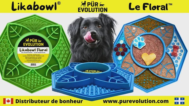 Pür Evolution Likabowl Floral
