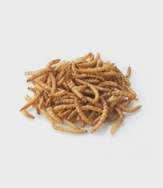 Maska Sélect- Insecte séchés pour volaile, format: 2kg
