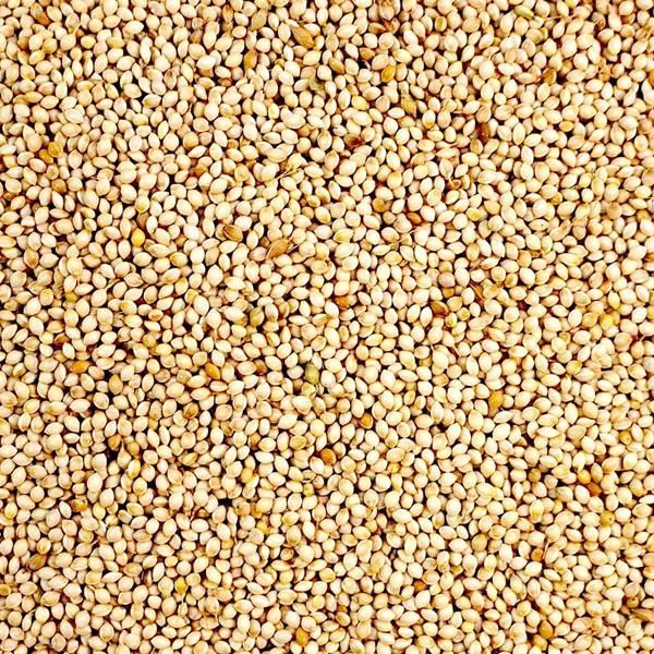 Maska Sélect- Millet blanc 2kg