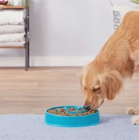 Outward Hound - fun feeder,  bol  ralentisseur