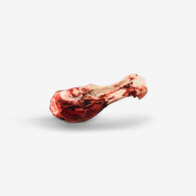 K9 Choice Foods - Dino Bone, Frozen Raw Beef Femur