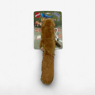 Spot - Flippin' Skinneeez, Amimal: Écureuil