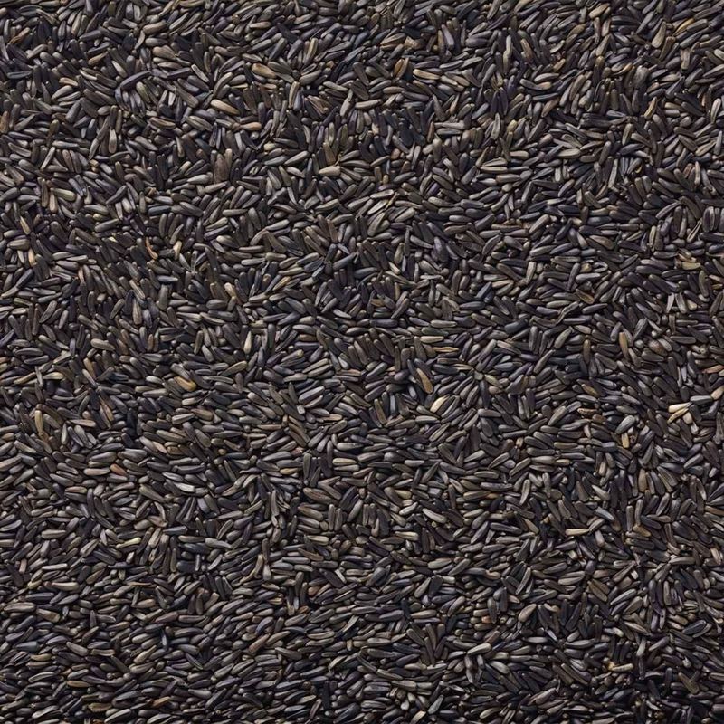 Maska Sélect - Graines de chardon