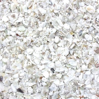 Maska Sélect- Coquille d'huitre