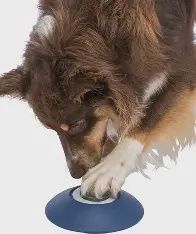 Trixie - Jeu de Stratégie - Memoriy Trainer 3.0 - niveau 3