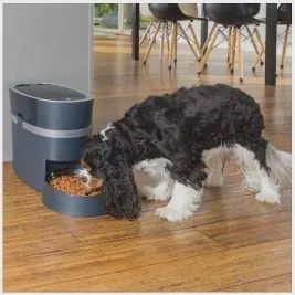 PetSafe - Distributeur de croquettes connecté Smart Feed