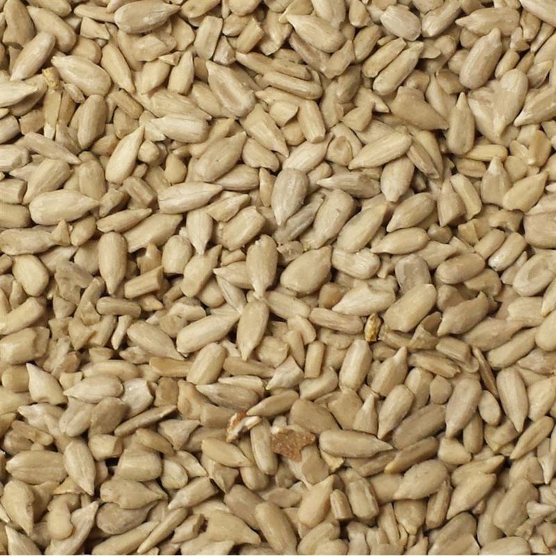 Maska Sélect- Amande de tournesol