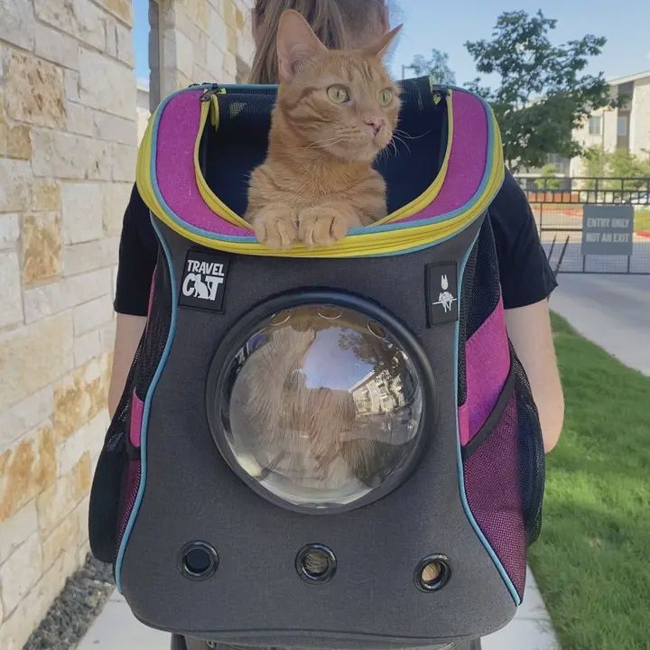Travel Cat - Sac a dos de transport avec bulle