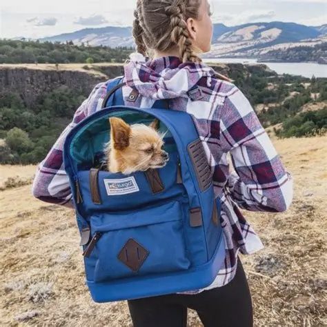 Kurgo -Nomad Sac à dos de transport, approuvé par les compagnies aériennes