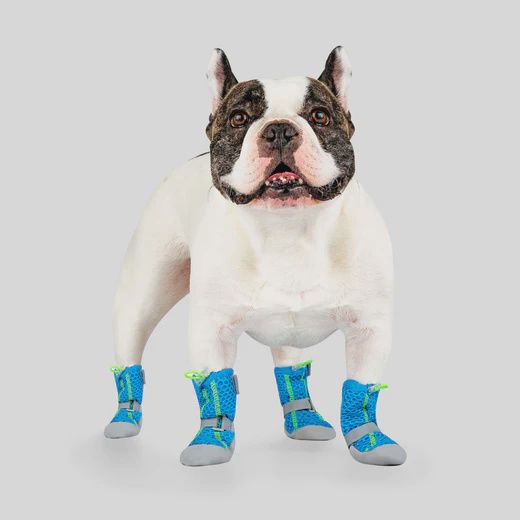 Canada Pooch - Hot Pavement Boots