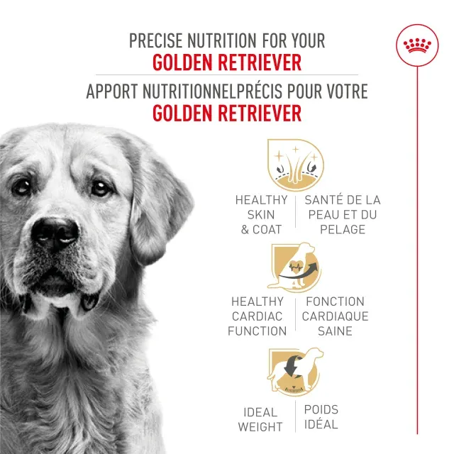 Royal Canin- Recette pour Golden Retriever adulte