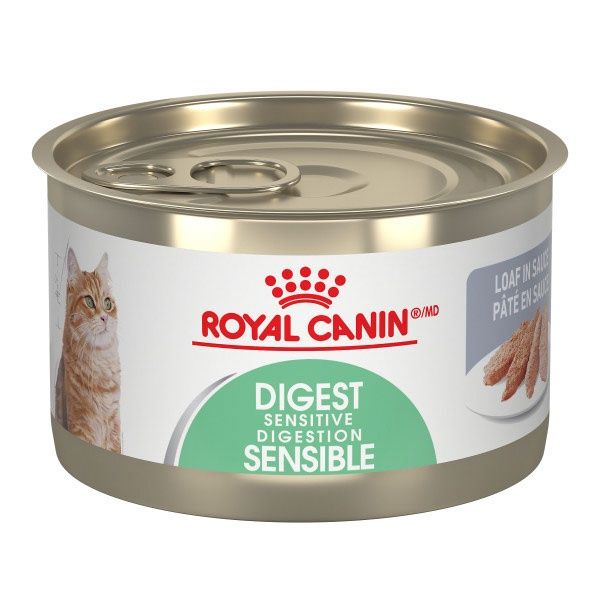 Royal Canin - Chat soin digestif pâté en sauce 5.1oz, format: 5.1oz